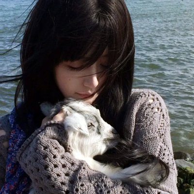 熊猫历险记